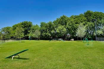 Dog park
